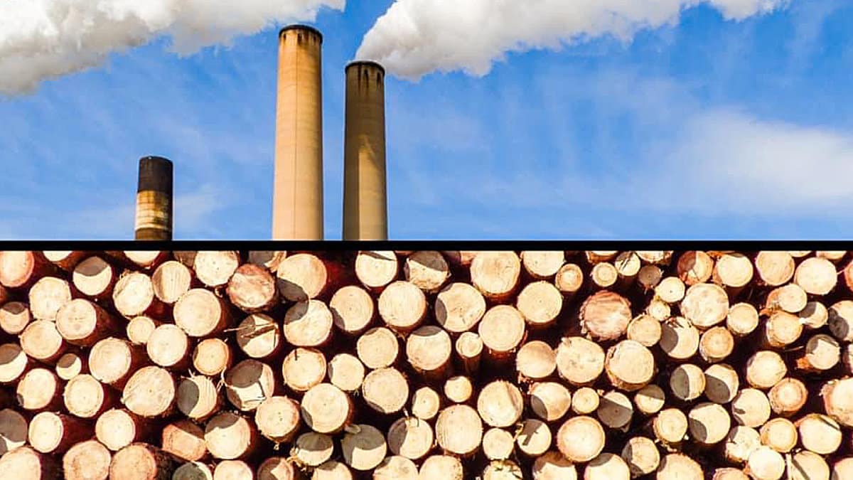 Biomassa Centrale Zaandam