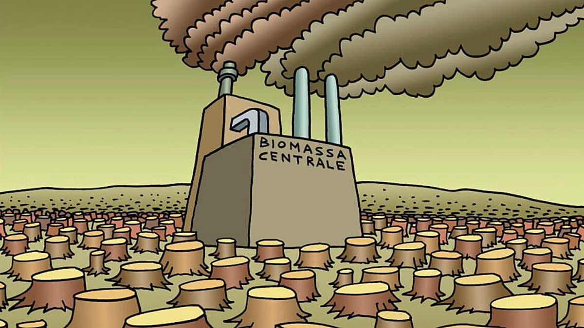 Biomassa centrale