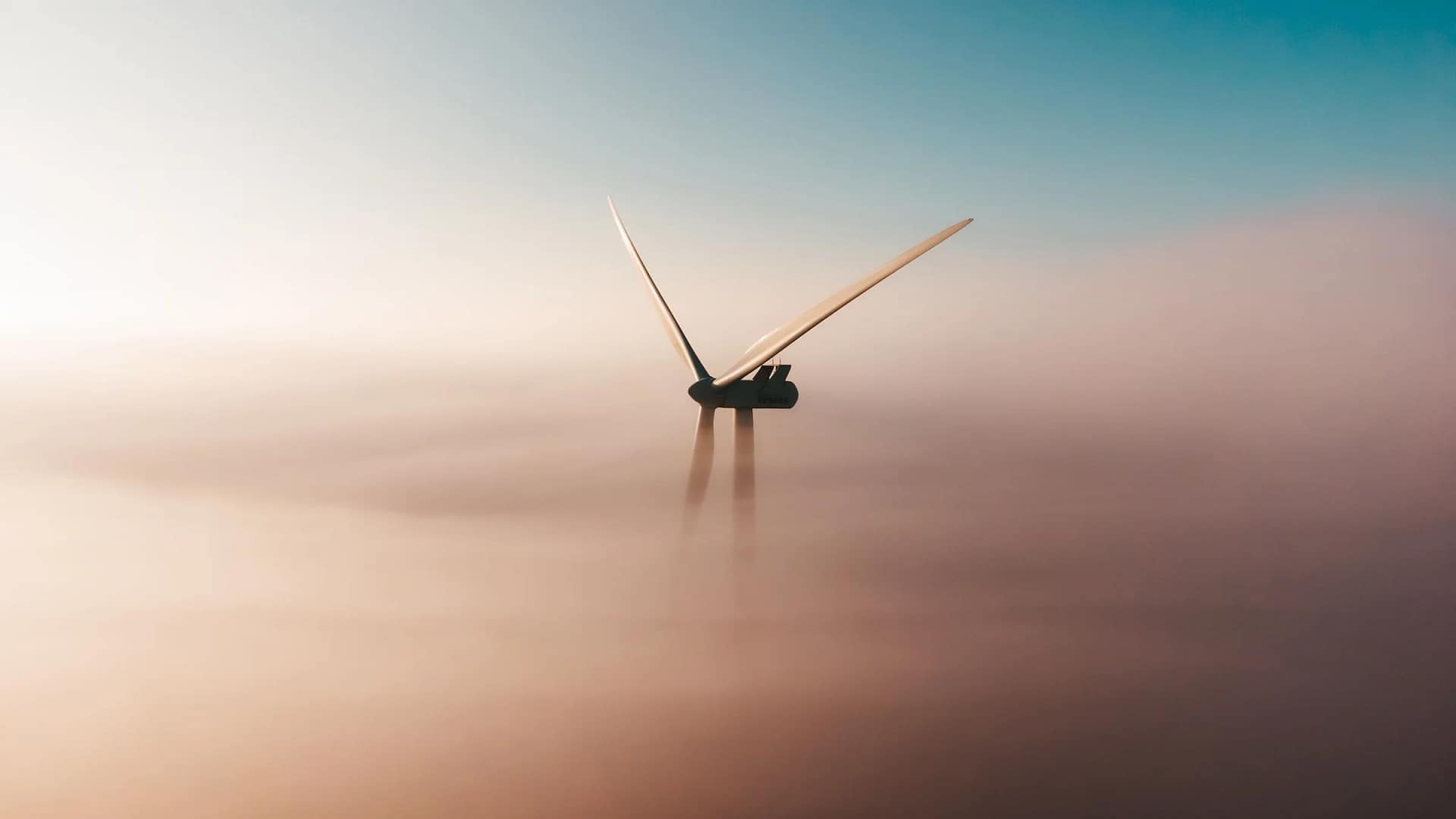 Natura 2000 en Windmolens Zaanstad